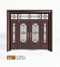 2021康神大門KS-P2567雅韓