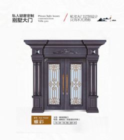 2021康神大門KS-P2531雅彩